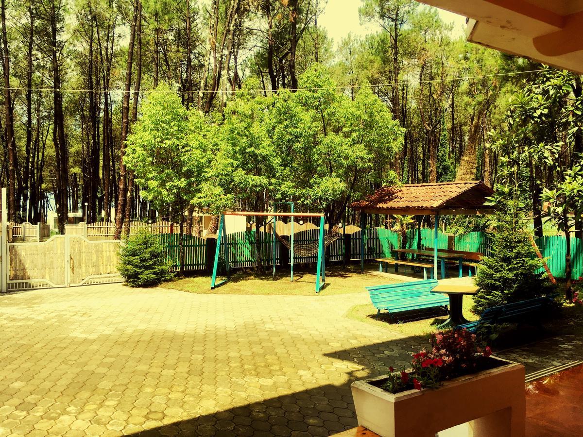 Hotel "Qeti" Shekhvetili Exterior foto